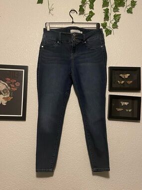 Torrid Skinny Jeans